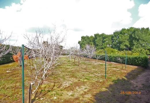 Villino allo stato rustico a 4 Km dal mare - Immobili Residenziali Porto Cesareo