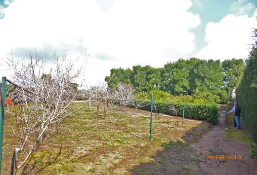 Villino allo stato rustico a 4 Km dal mare - Immobili Residenziali Porto Cesareo