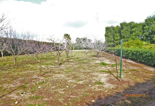 Villino allo stato rustico a 4 Km dal mare - Immobili Residenziali Porto Cesareo