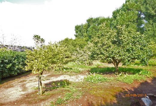 Villino allo stato rustico a 4 Km dal mare - Immobili Residenziali Porto Cesareo
