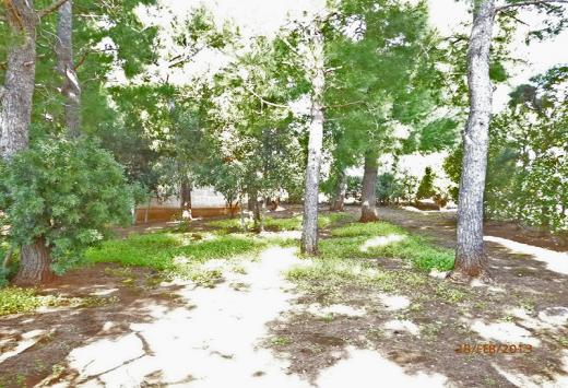 Villino allo stato rustico a 4 Km dal mare - Immobili Residenziali Porto Cesareo