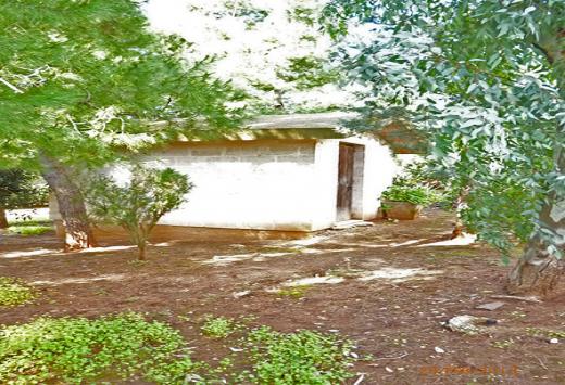 Villino allo stato rustico a 4 Km dal mare - Immobili Residenziali Porto Cesareo