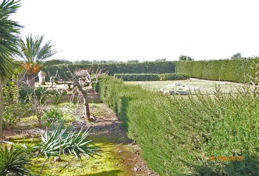 Villino allo stato rustico a 4 Km dal mare - Immobili Residenziali Porto Cesareo
