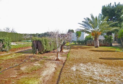 Villino allo stato rustico a 4 Km dal mare - Immobili Residenziali Porto Cesareo