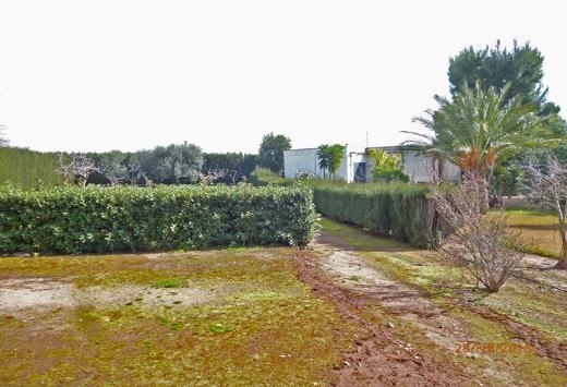 Villino allo stato rustico a 4 Km dal mare - Immobili Residenziali Porto Cesareo