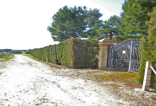 Villino allo stato rustico a 4 Km dal mare - Immobili Residenziali Porto Cesareo