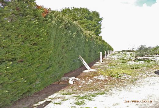 Villino allo stato rustico a 4 Km dal mare - Immobili Residenziali Porto Cesareo