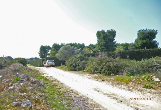 Villino allo stato rustico a 4 Km dal mare - Immobili Residenziali Porto Cesareo