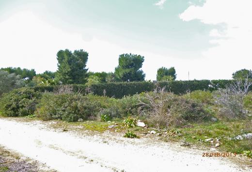 Villino allo stato rustico a 4 Km dal mare - Immobili Residenziali Porto Cesareo