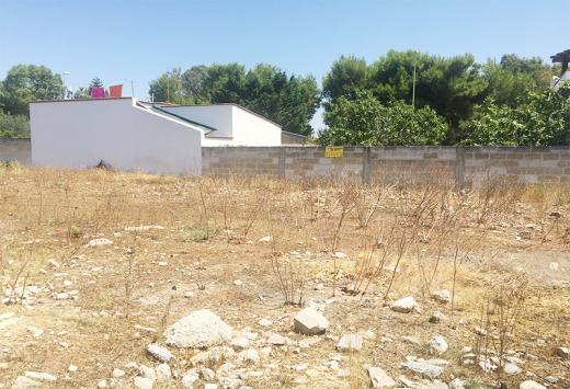 Suolo - Terreni Agricoli Porto Cesareo