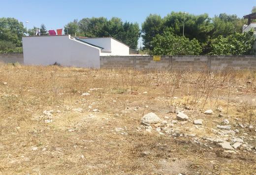 Suolo - Terreni Agricoli Porto Cesareo