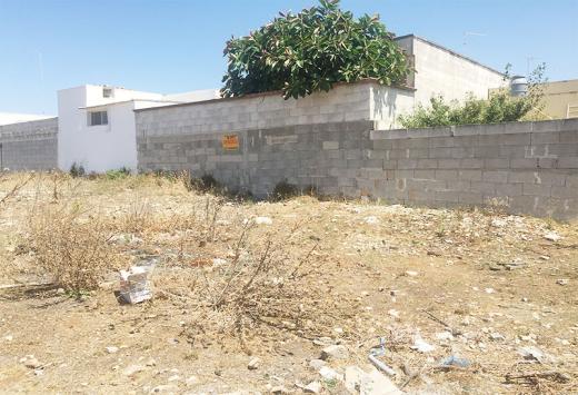 Suolo - Terreni Agricoli Porto Cesareo