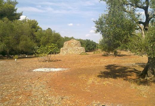 Terreno Agricolo Are 68,15  - Terreni Agricoli Porto Cesareo