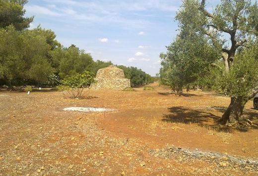 Terreno Agricolo Are 68,15  - Terreni Agricoli Porto Cesareo